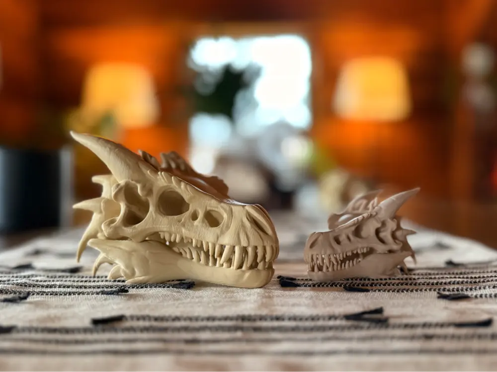 Dragon Skull Fossil by Boys Day Design