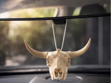 Hanging Bull Skull by user_2017514577