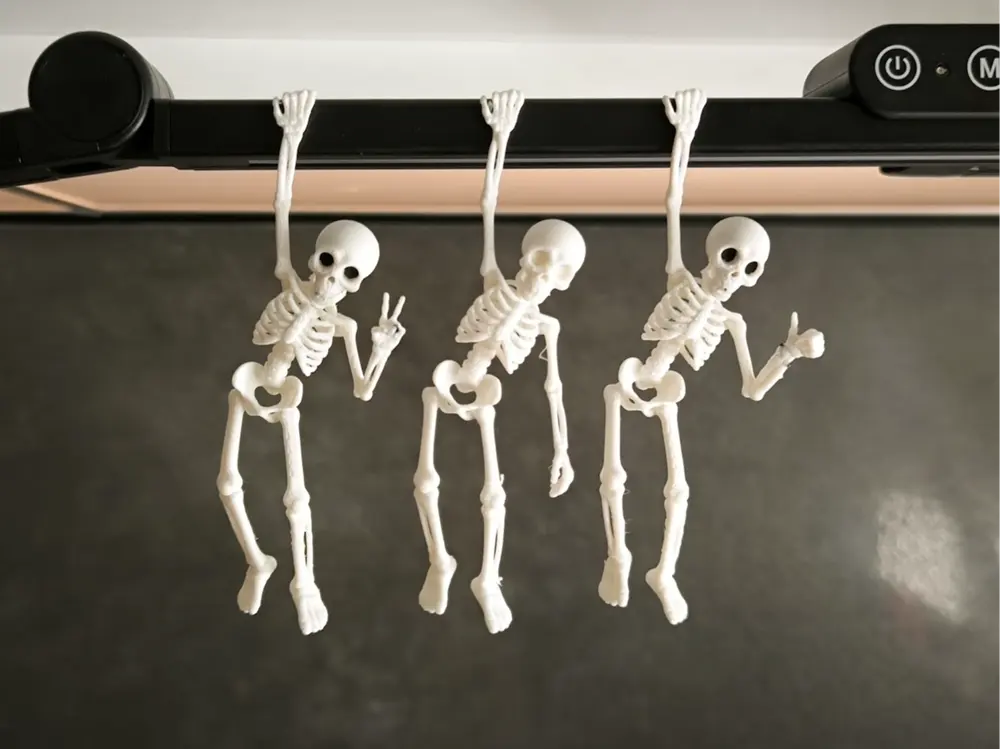 Hanging Skeleton Buddy by Sevro