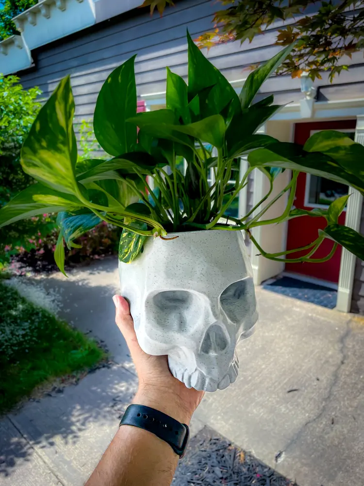 Hanging Skull Planter by Uncle Jessy