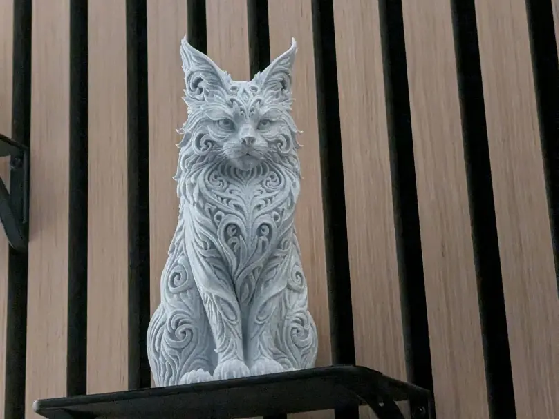 Maine Coon Cat by Future 3D