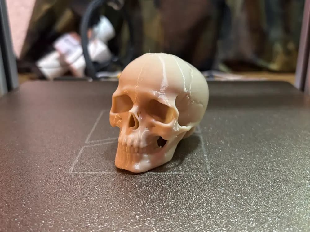 Mini Skull by PrintForge3D