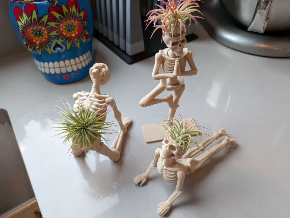 Yoga Skeleton Air Plant Holders by PunkPrinter
